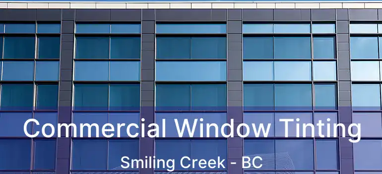  Commercial Window Tinting Smiling Creek - BC