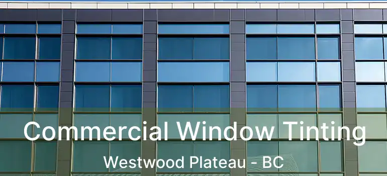  Commercial Window Tinting Westwood Plateau - BC
