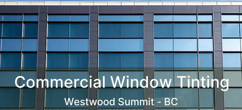  Commercial Window Tinting Westwood Summit - BC