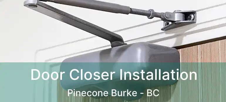  Door Closer Installation Pinecone Burke - BC