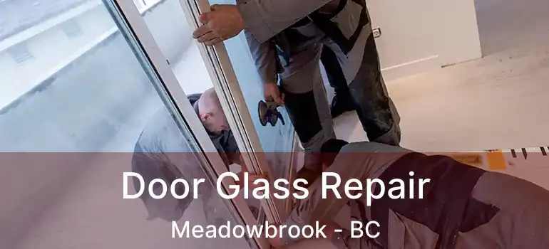  Door Glass Repair Meadowbrook - BC