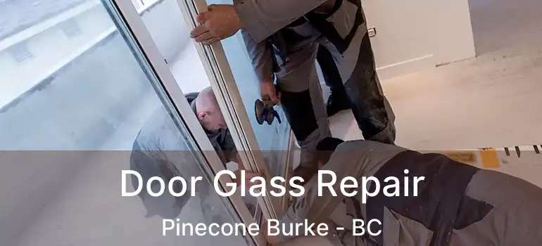  Door Glass Repair Pinecone Burke - BC