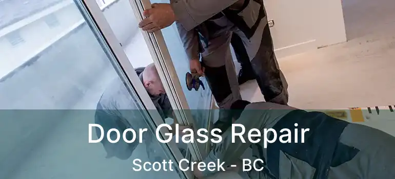  Door Glass Repair Scott Creek - BC