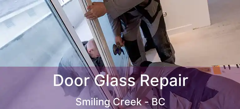  Door Glass Repair Smiling Creek - BC