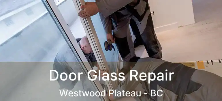  Door Glass Repair Westwood Plateau - BC