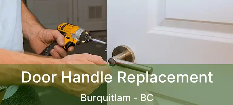  Door Handle Replacement Burquitlam - BC