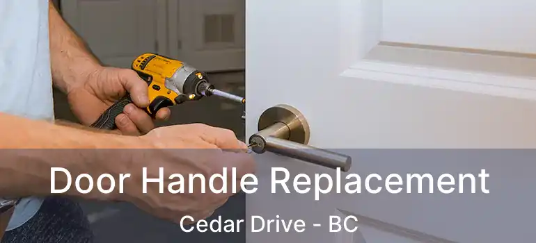  Door Handle Replacement Cedar Drive - BC
