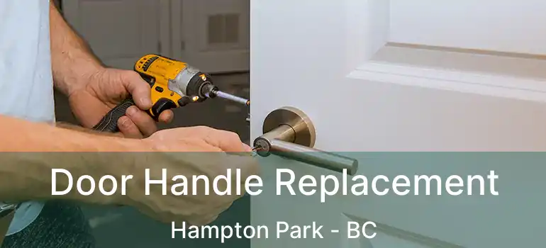  Door Handle Replacement Hampton Park - BC