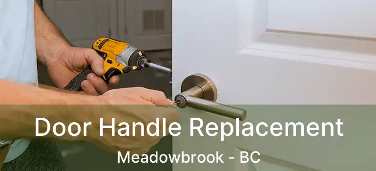  Door Handle Replacement Meadowbrook - BC
