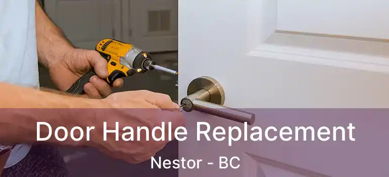  Door Handle Replacement Nestor - BC