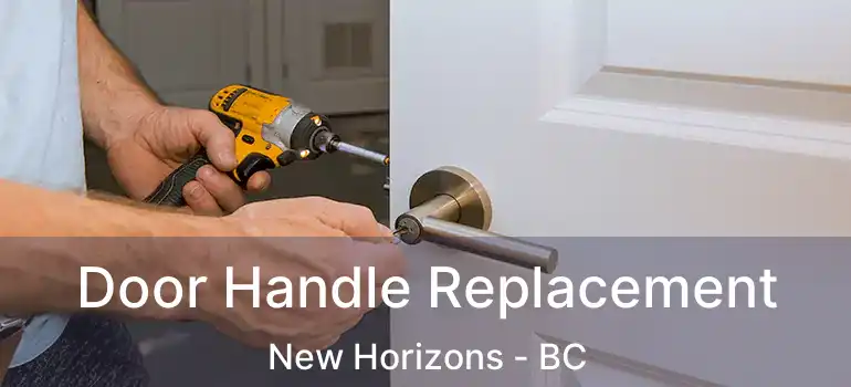  Door Handle Replacement New Horizons - BC