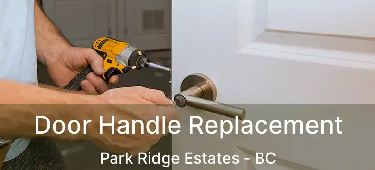  Door Handle Replacement Park Ridge Estates - BC