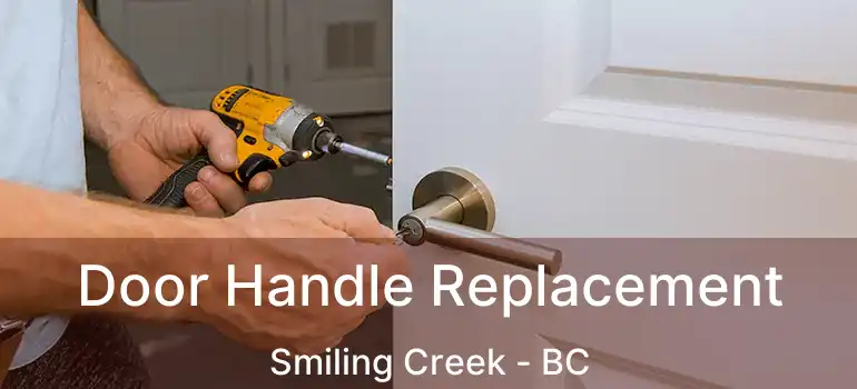  Door Handle Replacement Smiling Creek - BC