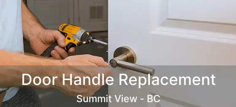  Door Handle Replacement Summit View - BC