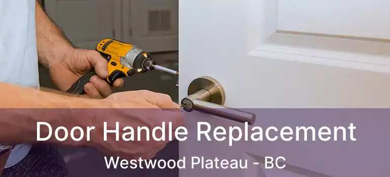  Door Handle Replacement Westwood Plateau - BC