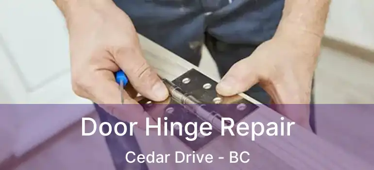 Door Hinge Repair Cedar Drive - BC