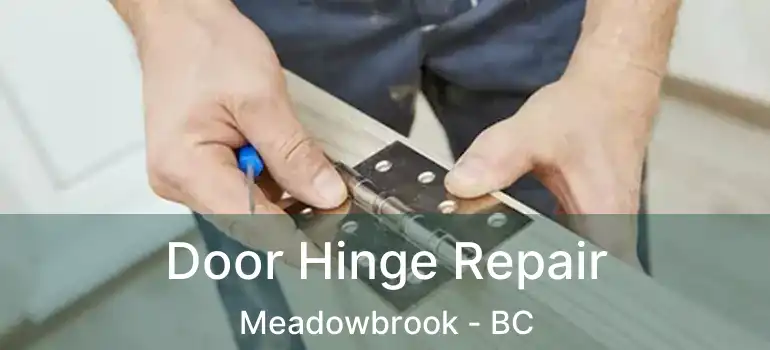  Door Hinge Repair Meadowbrook - BC