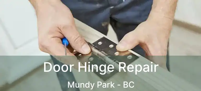  Door Hinge Repair Mundy Park - BC
