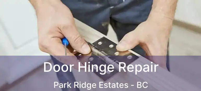  Door Hinge Repair Park Ridge Estates - BC