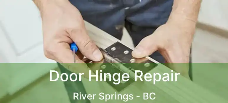  Door Hinge Repair River Springs - BC