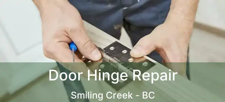  Door Hinge Repair Smiling Creek - BC