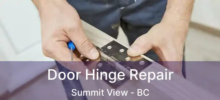  Door Hinge Repair Summit View - BC
