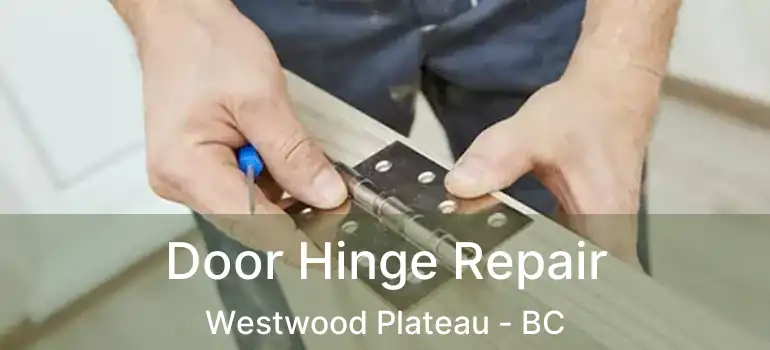  Door Hinge Repair Westwood Plateau - BC