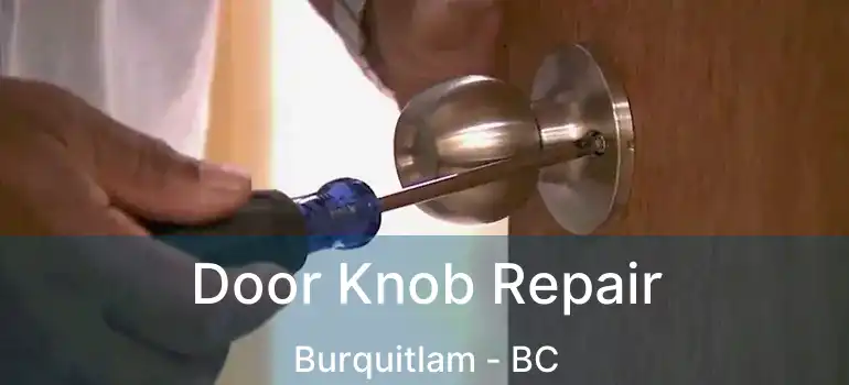  Door Knob Repair Burquitlam - BC
