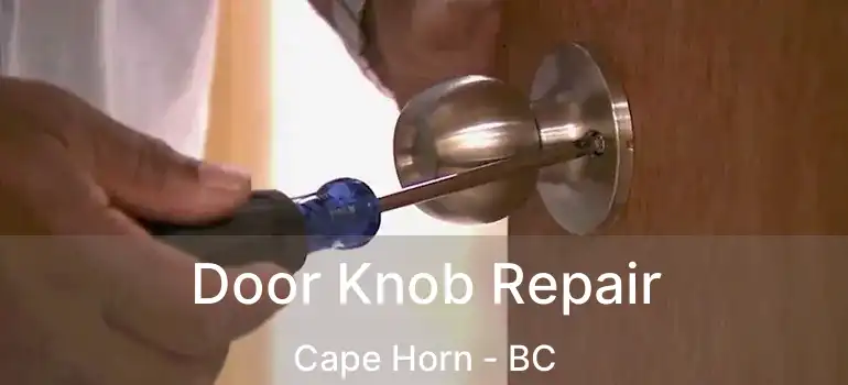  Door Knob Repair Cape Horn - BC