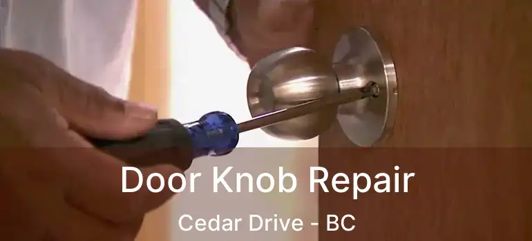  Door Knob Repair Cedar Drive - BC