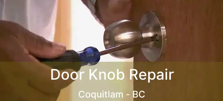  Door Knob Repair Coquitlam - BC