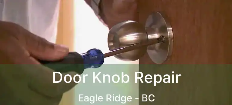  Door Knob Repair Eagle Ridge - BC