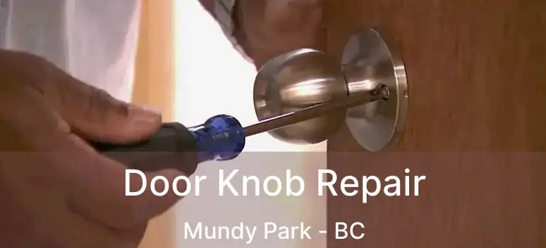  Door Knob Repair Mundy Park - BC