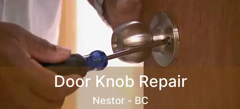  Door Knob Repair Nestor - BC