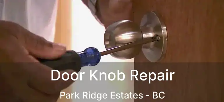  Door Knob Repair Park Ridge Estates - BC