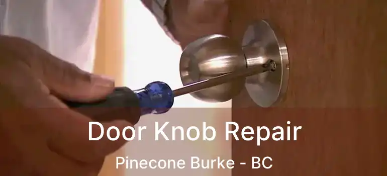  Door Knob Repair Pinecone Burke - BC