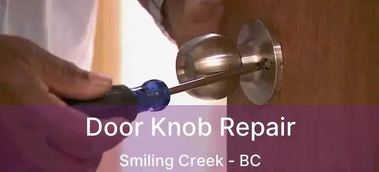  Door Knob Repair Smiling Creek - BC