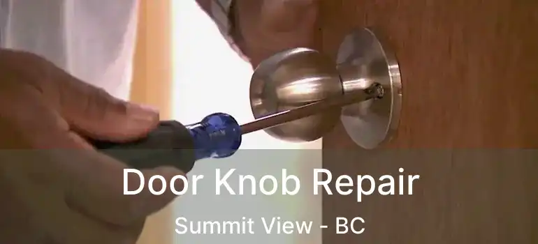  Door Knob Repair Summit View - BC