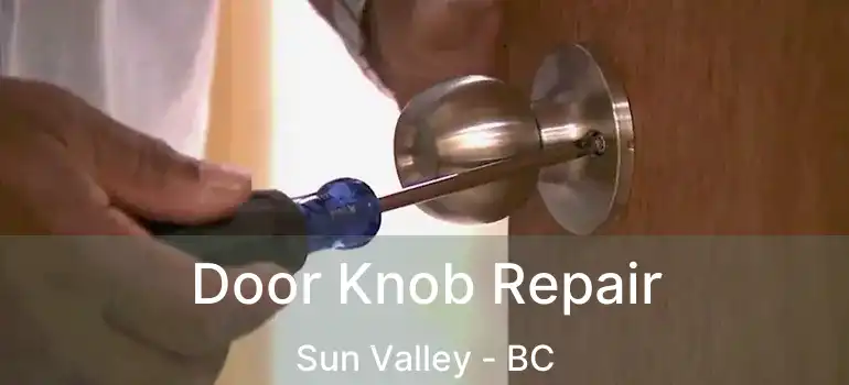  Door Knob Repair Sun Valley - BC