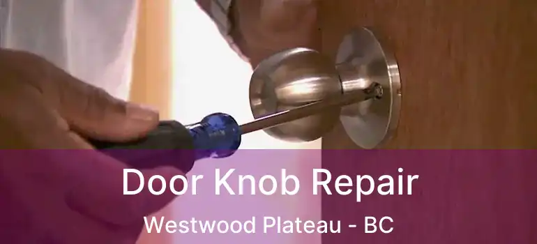  Door Knob Repair Westwood Plateau - BC