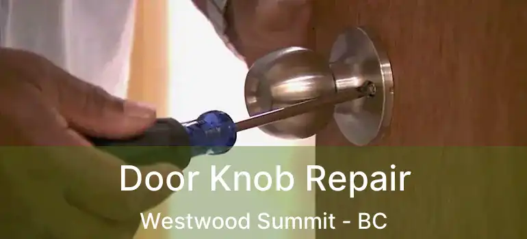  Door Knob Repair Westwood Summit - BC