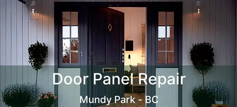  Door Panel Repair Mundy Park - BC