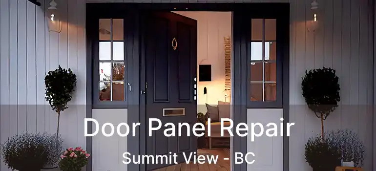  Door Panel Repair Summit View - BC