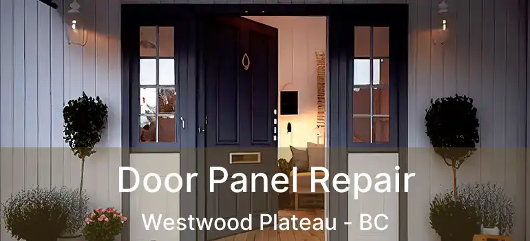  Door Panel Repair Westwood Plateau - BC
