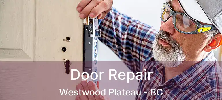  Door Repair Westwood Plateau - BC