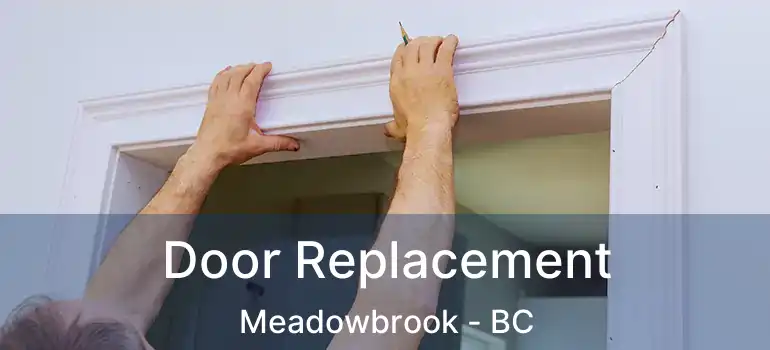  Door Replacement Meadowbrook - BC