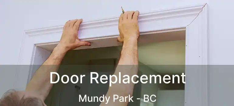 Door Replacement Mundy Park - BC