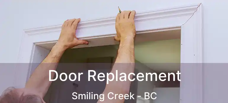  Door Replacement Smiling Creek - BC