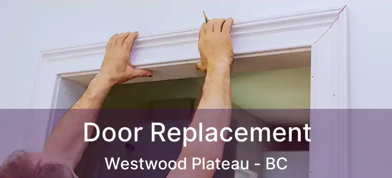  Door Replacement Westwood Plateau - BC