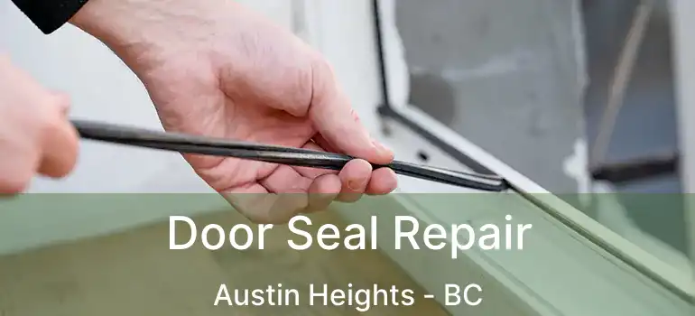  Door Seal Repair Austin Heights - BC